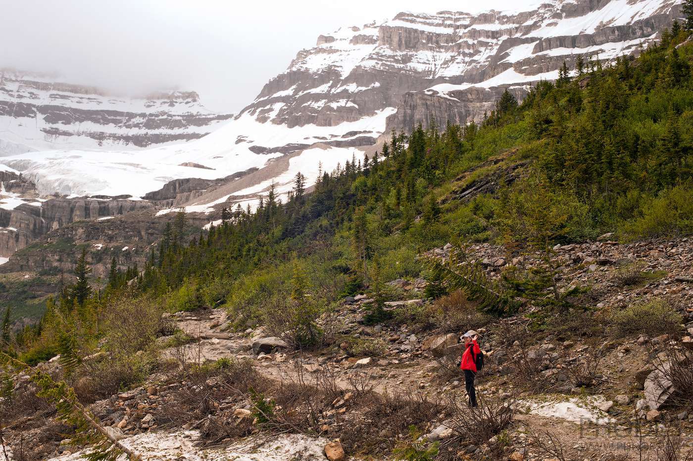 Randonnée Plain of Six Glacier sur le lac Louise