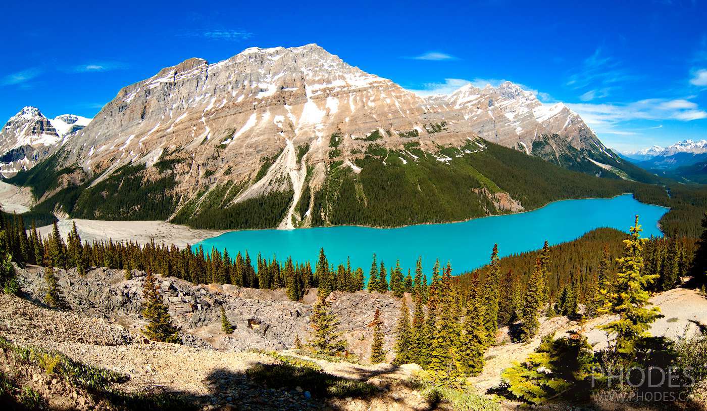 Озеро Peyto Lake - вид со смотровой площадки - в парке Banff