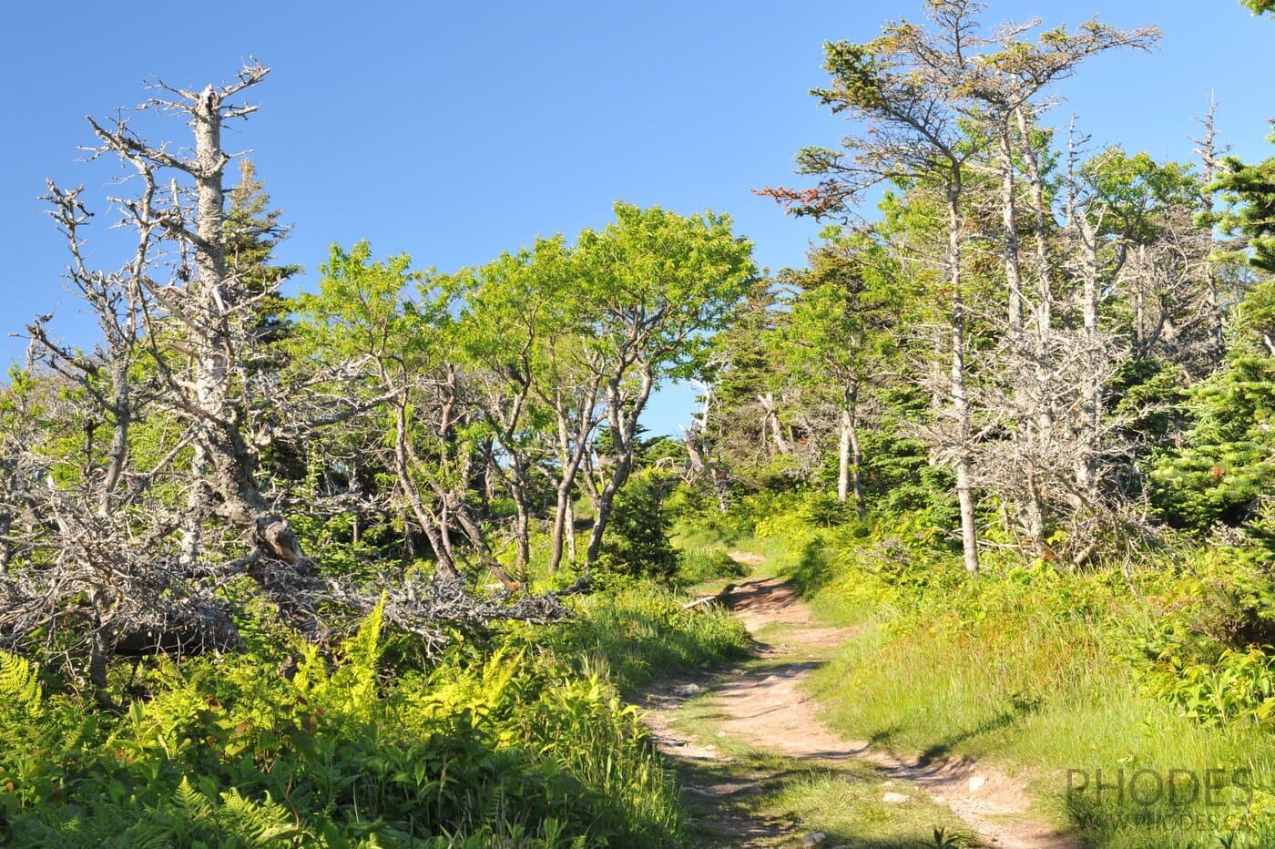 Skyline Trail - Cape Breton Highlands National Park - Новая Шотландия - Канада