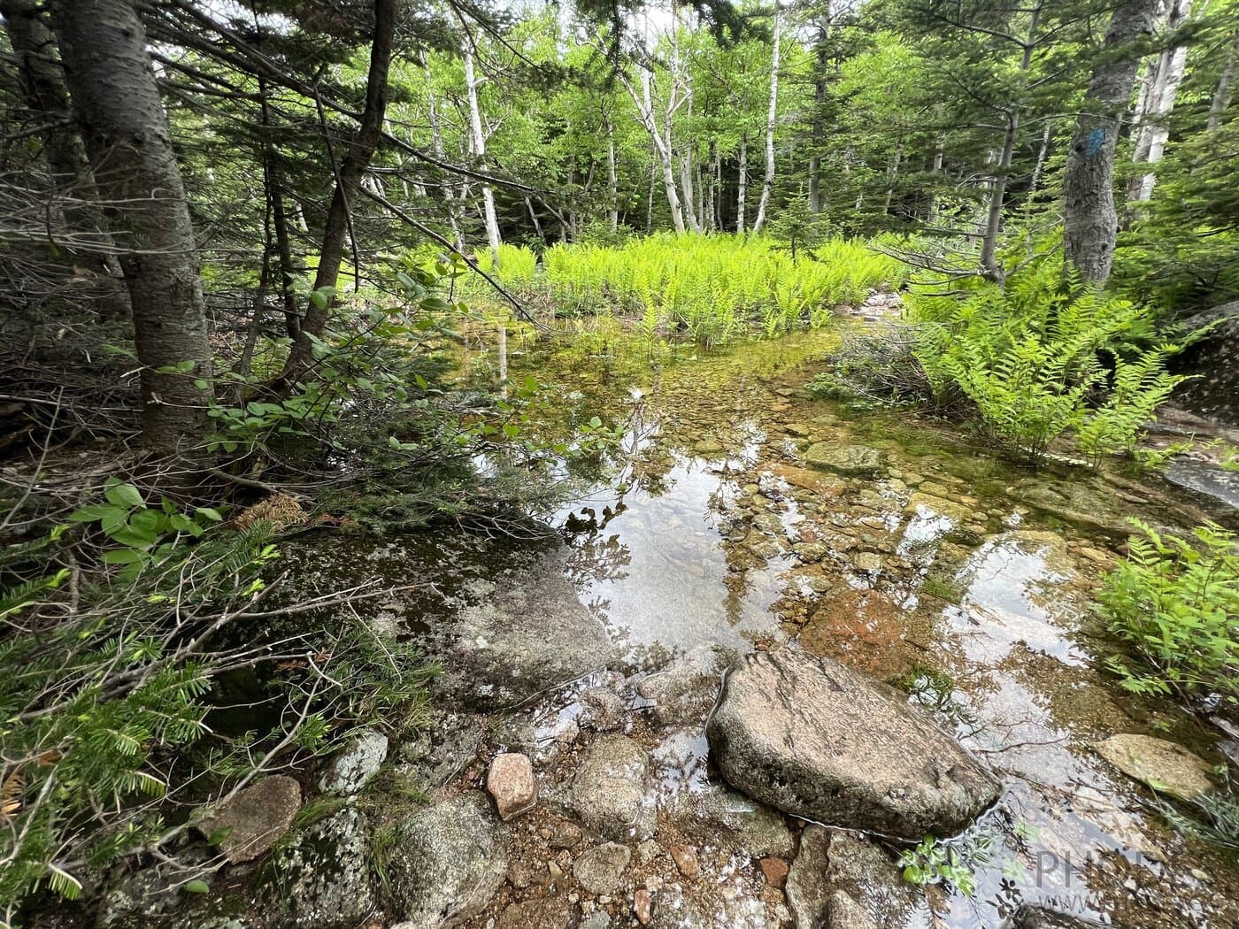 Chimney Pond Trail - Baxter State Park - Le Maine - Les États-Unis