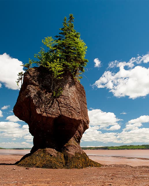 Hopewell Rocks - Nouveau-Brunswick - Canada