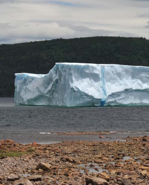 Icebergs - King's Point - Newfoundland - Canada