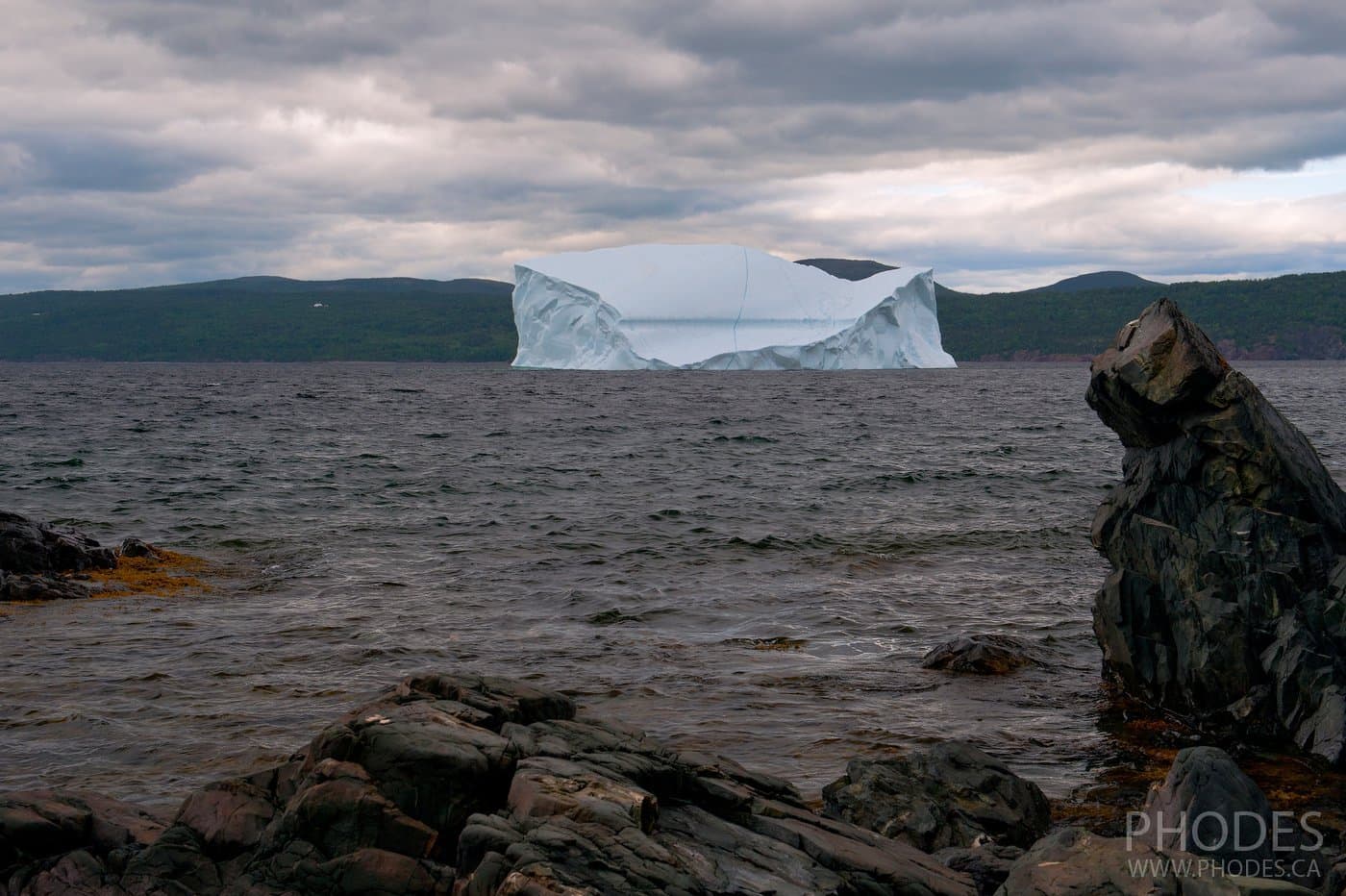 Iceberg and cat cliff in King’s Point - Newfoundland