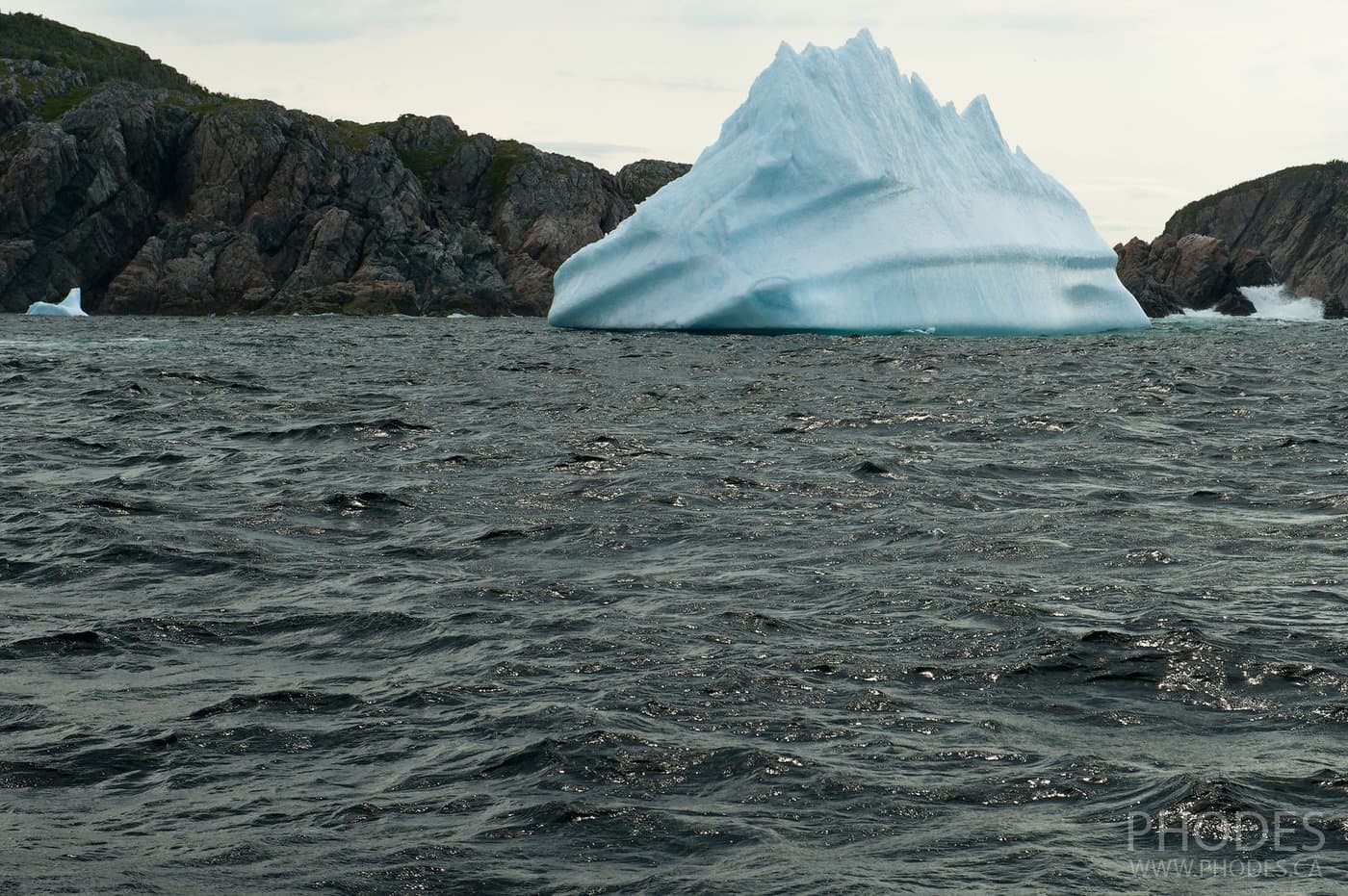 Iceberg à Twillingate - Terre-Neuve