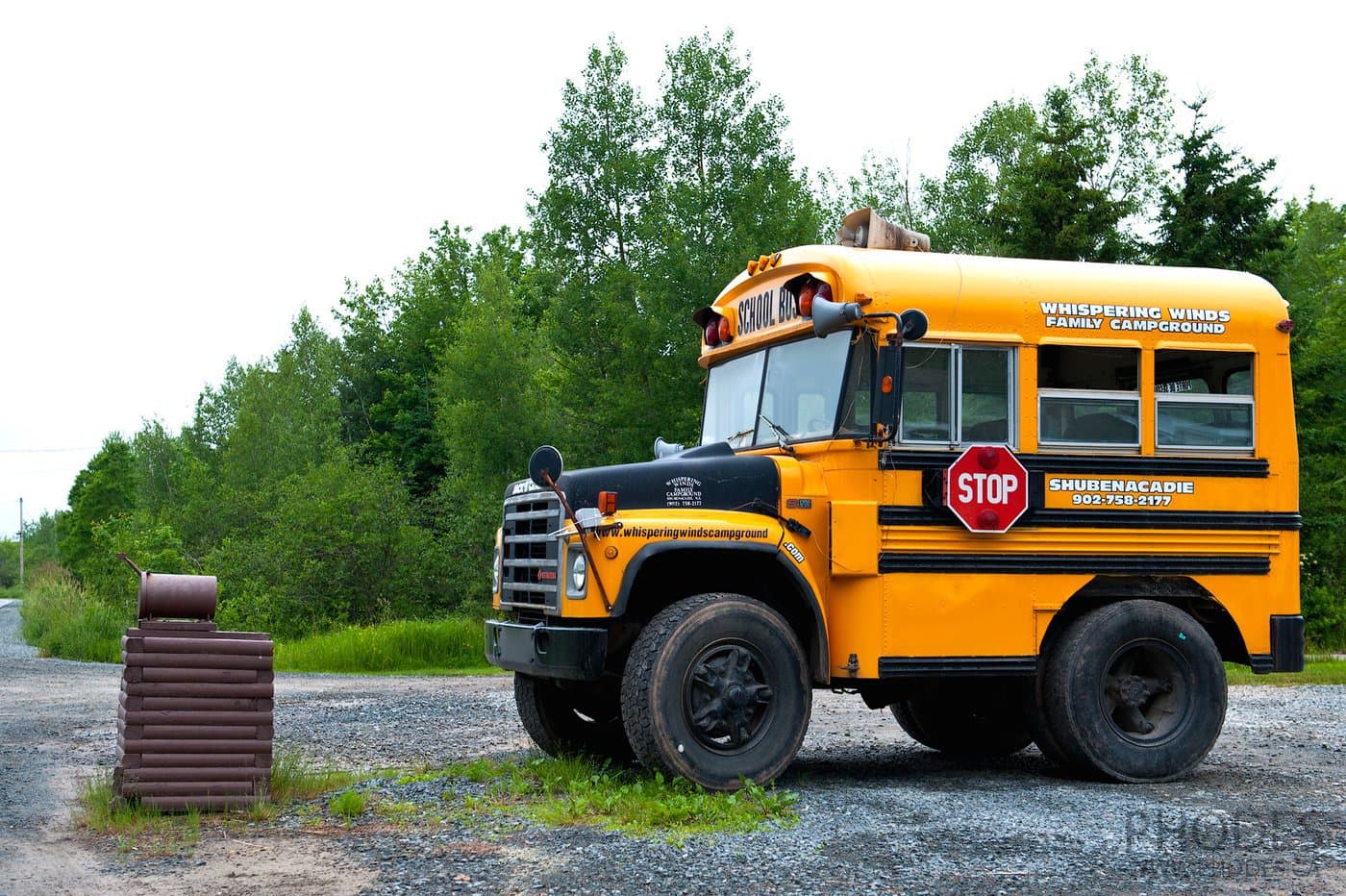 Autobus scolaire sur l’île du Cap-Breton à Nouvelle-Écosse