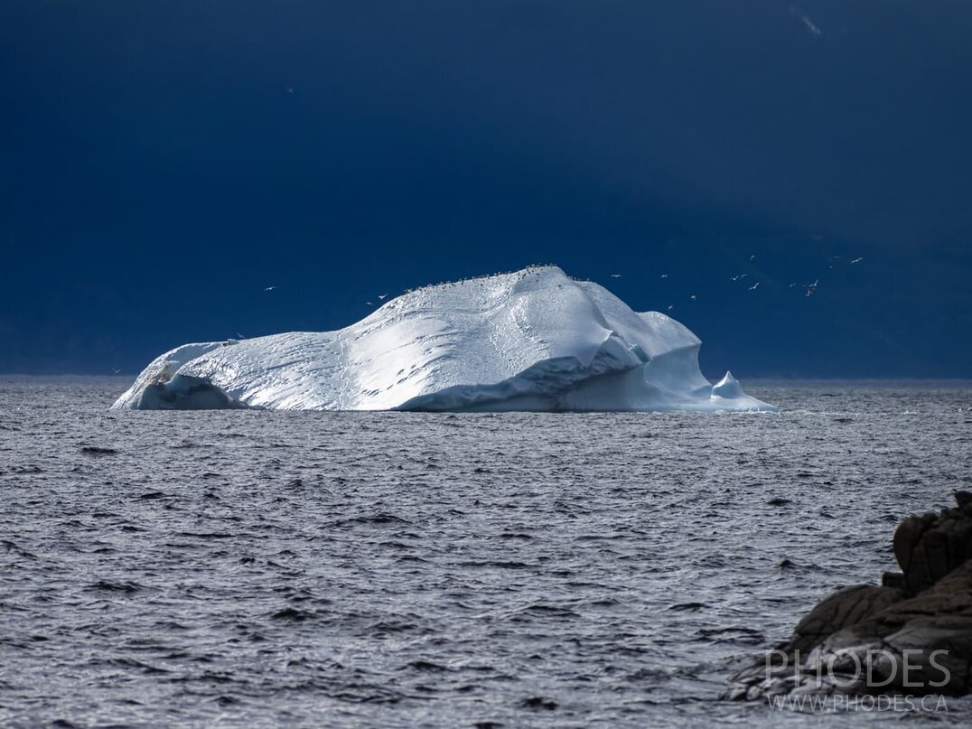 Iceberg in Wild Cove - Newfoundland