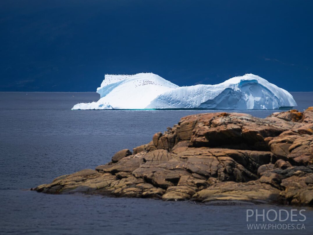 Iceberg in Wild Cove - Newfoundland