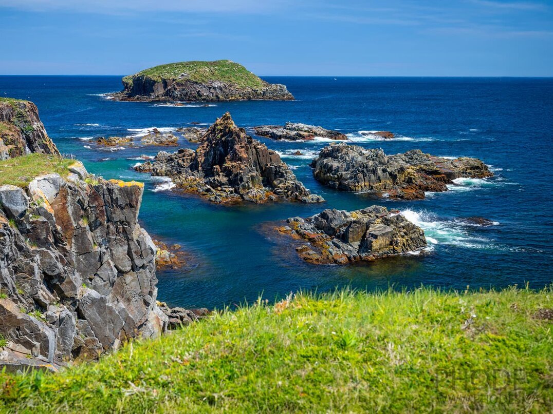 Coast - Bird Island - Elliston - Newfoundland