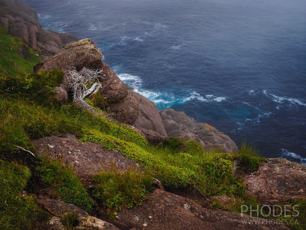 Coastal view of Cape Spear - Newfoundland