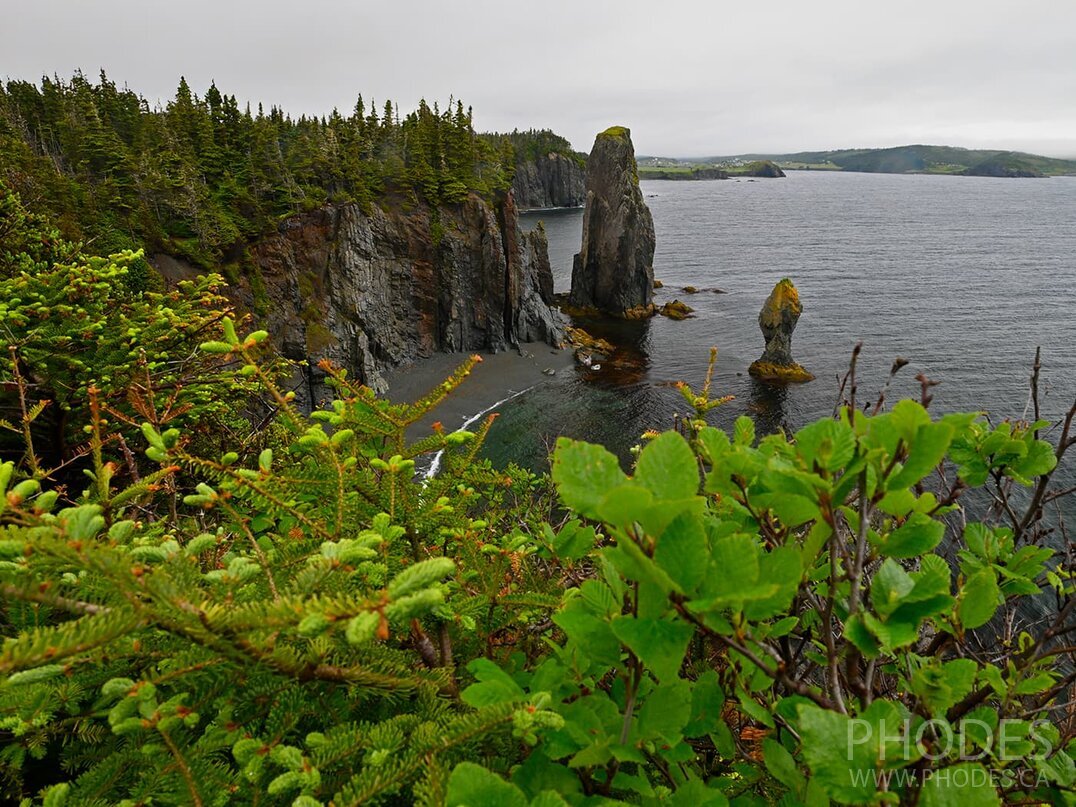 Coast - Skerwink Trail - Port Rexton - Newfoundland