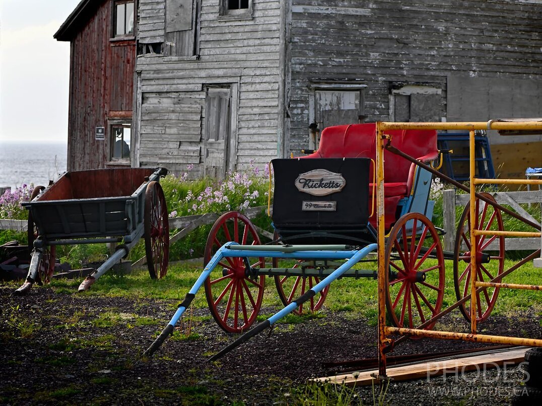 Carriage - Bonavista - Newfoundland