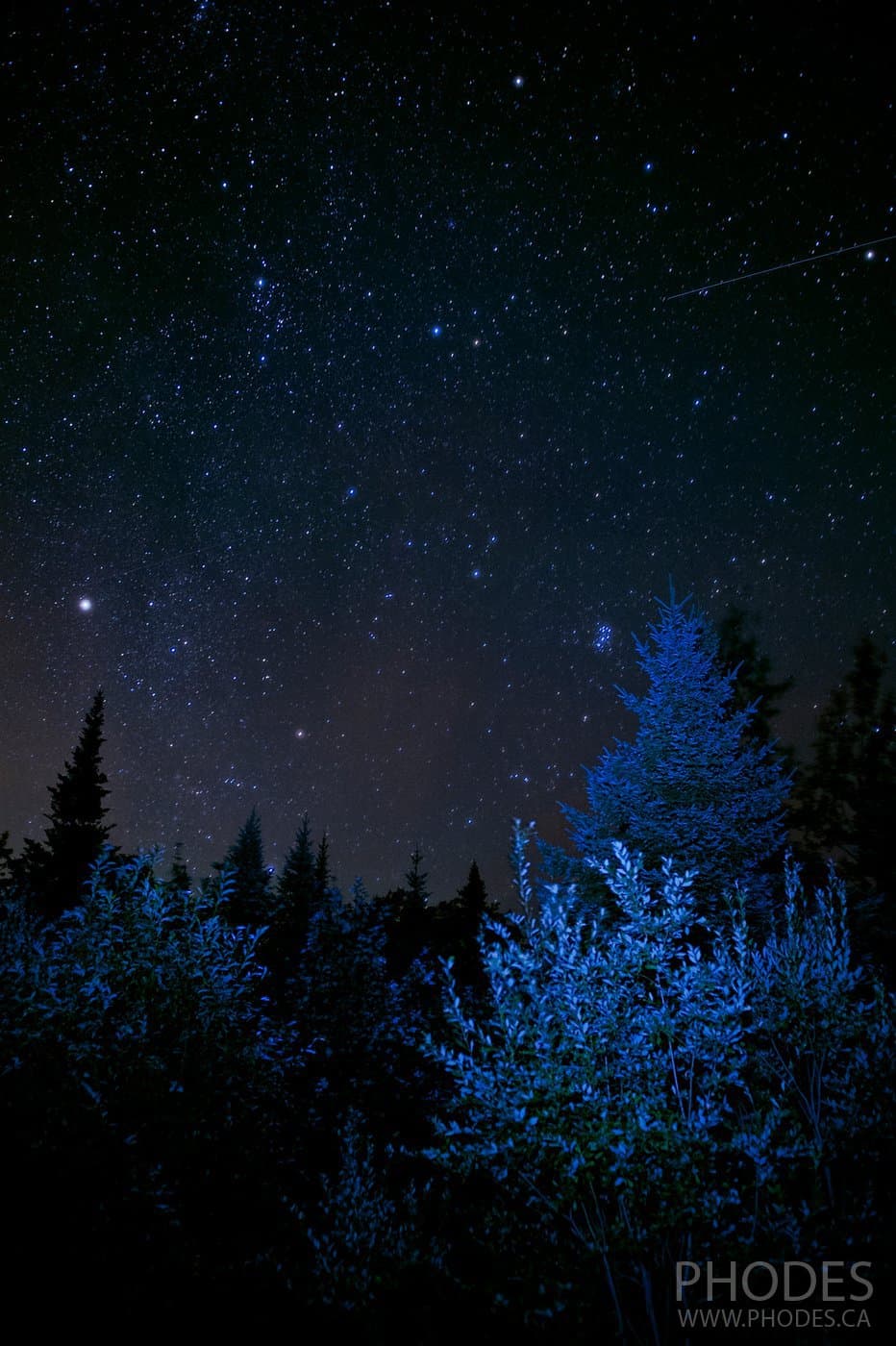 Stars over the trees in the park Mont-Megantic